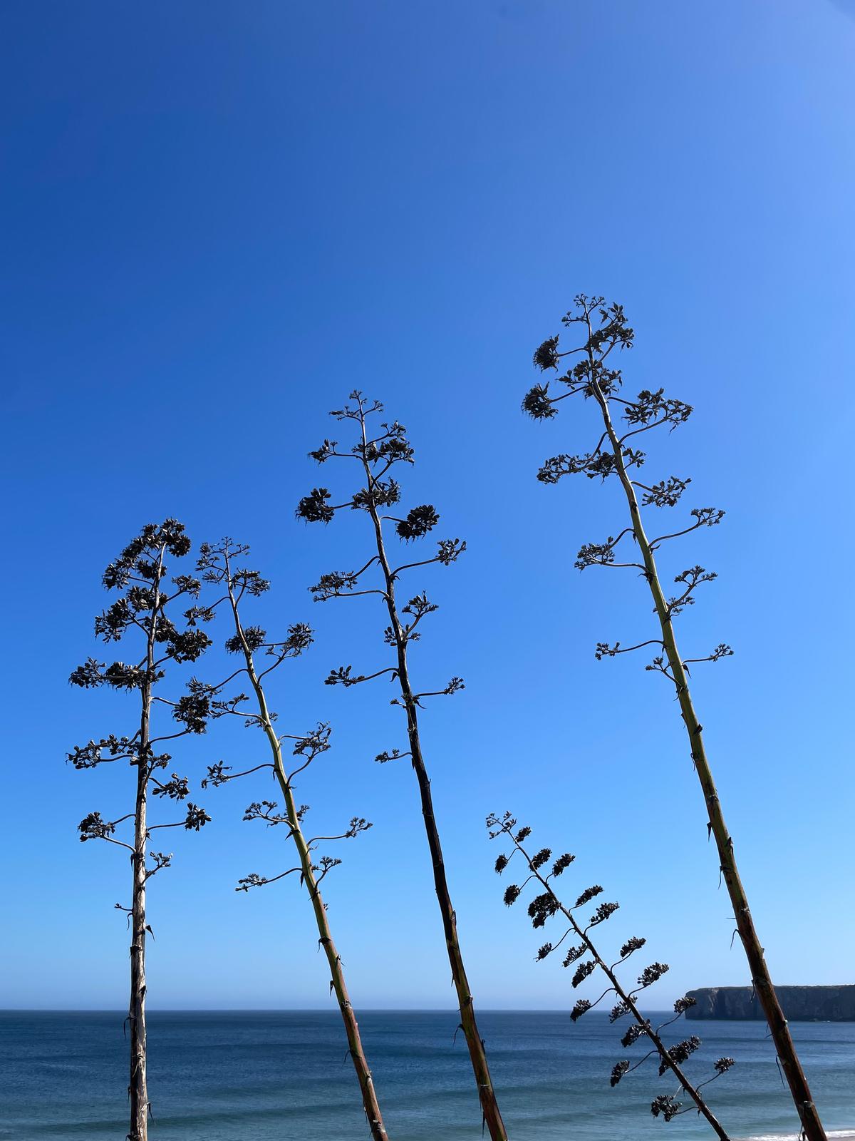 fishermans trail - rybářská stezka